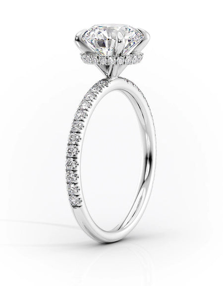 The Pave Alex WG R