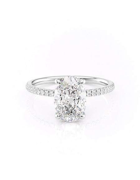 The Pave Nelly WG OV