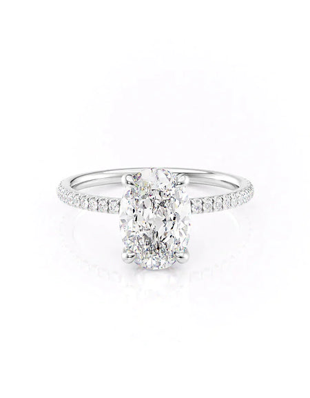 The Pave Nelly WG OV