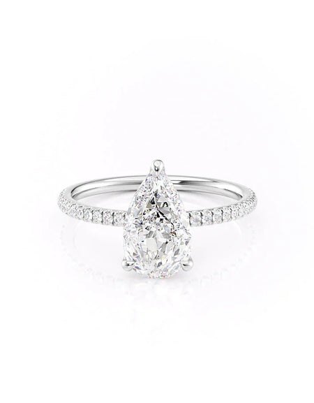 The Pave Nelly WG PS