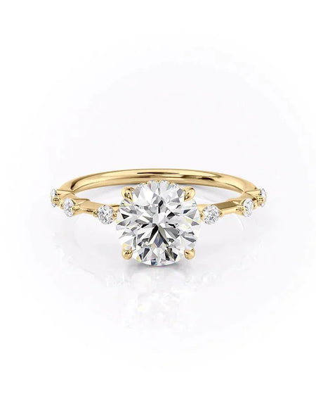 The Hidden Halo Penelope YG R