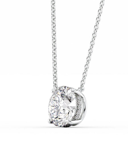 The Hidden Halo Riley WG R