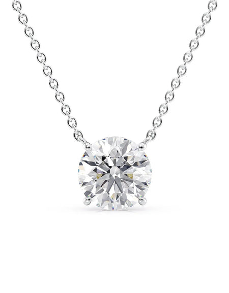 The Hidden Halo Riley WG R
