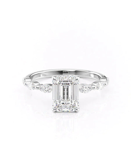 The Lucia WG EM