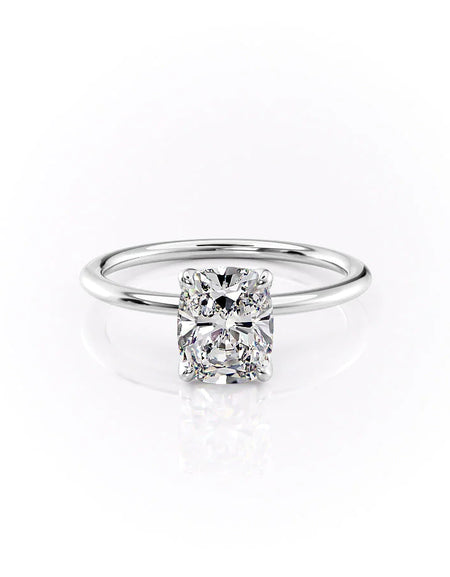 The Petal Kamellie WG ECU