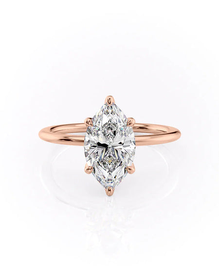 The Petal Kamellie RG MQ