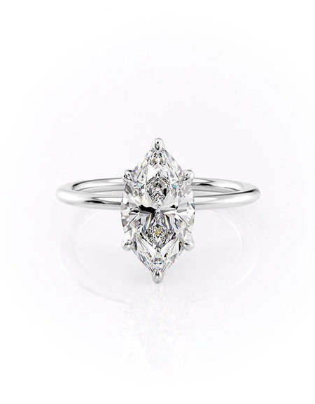 The Petal Kamellie WG MQ