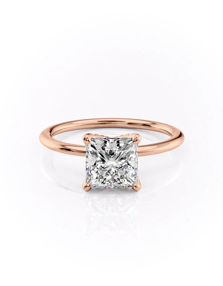 The Petal Kamellie RG PR