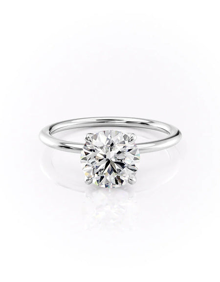 The Petal Kamellie WG R