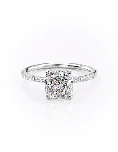The Pave Ashley WG CU