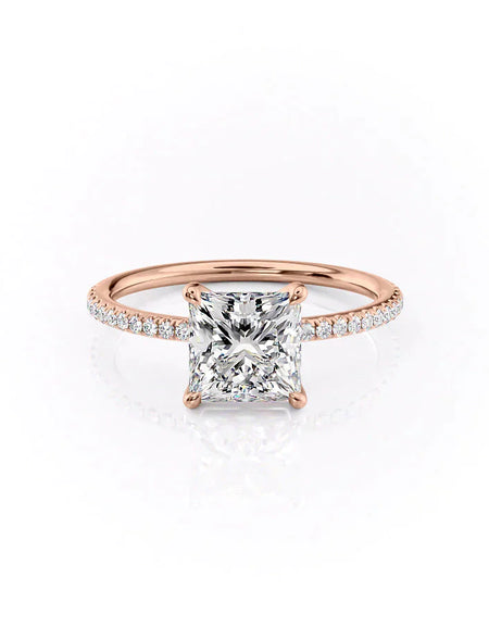 The Pave Ashley RG PR