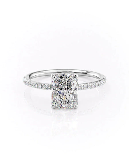 The Pave Ashley WG RAD