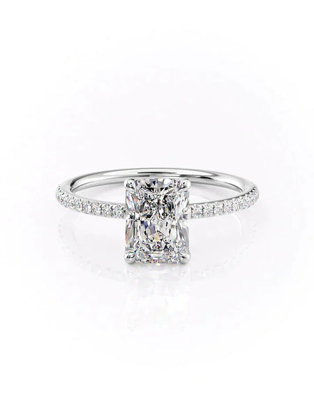 The Pave Ashley WG RAD