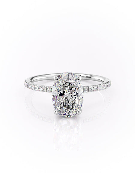 The Pave Sarah WG OV