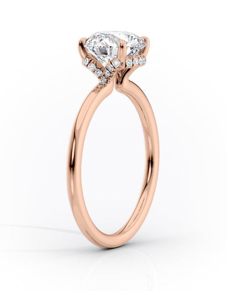 The Margot RG PS