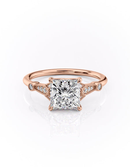 The Stephanie RG PR