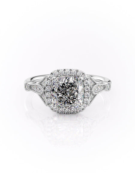 The Halo Stephanie WG CU
