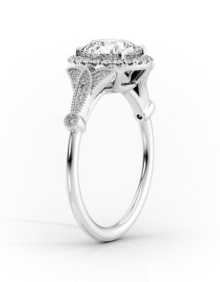 The Halo Stephanie WG CU