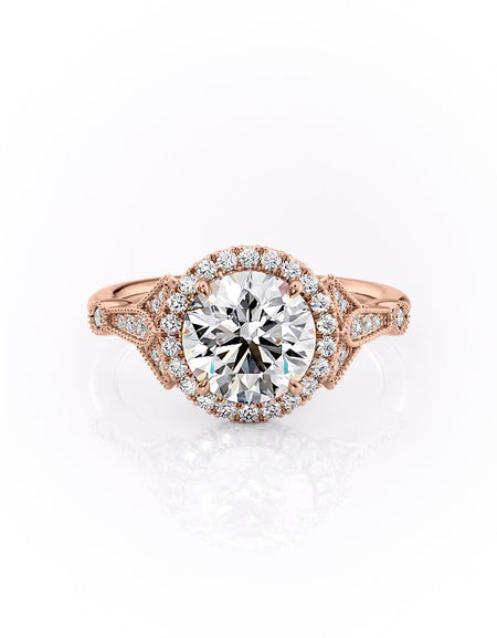 The Halo Stephanie RG R
