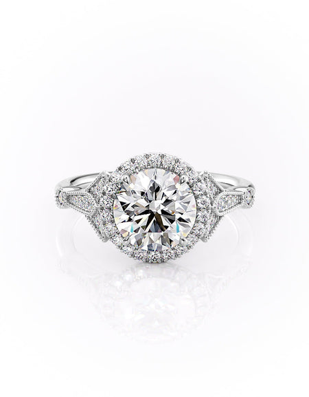 The Halo Stephanie WG R
