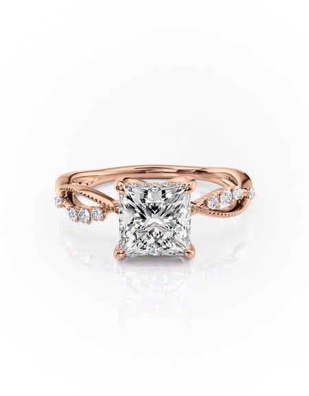 The Daisy RG PR
