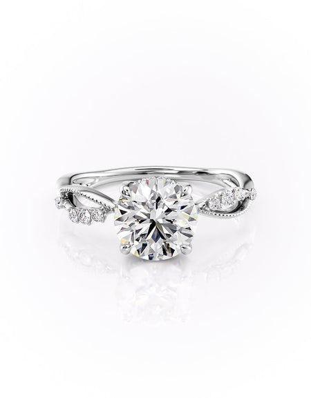 The Daisy WG R