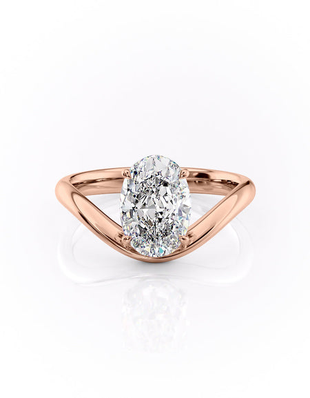 The Berta RG OV