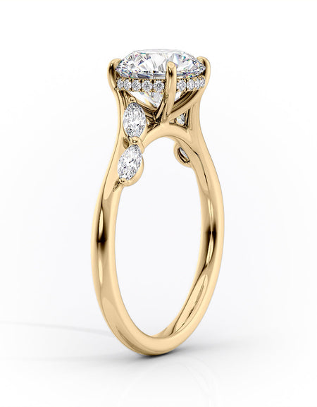 The Nova YG MQ