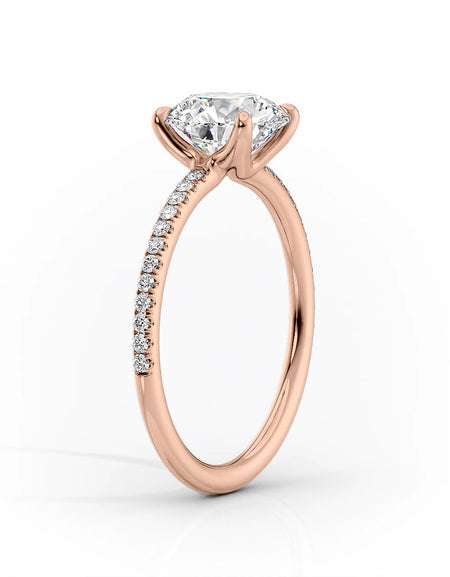 The Pave Ashley RG R