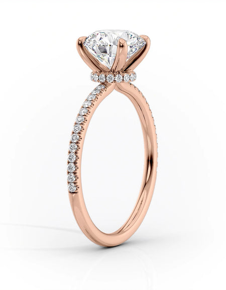 The Pave Nelly RG PR