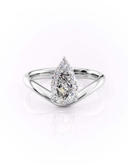 The Berta WG PS