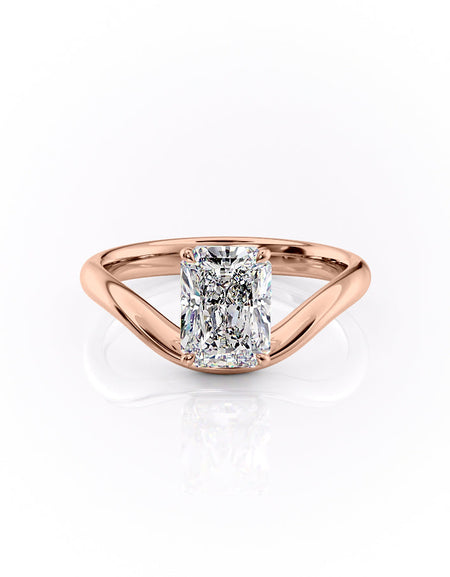 The Berta RG RAD